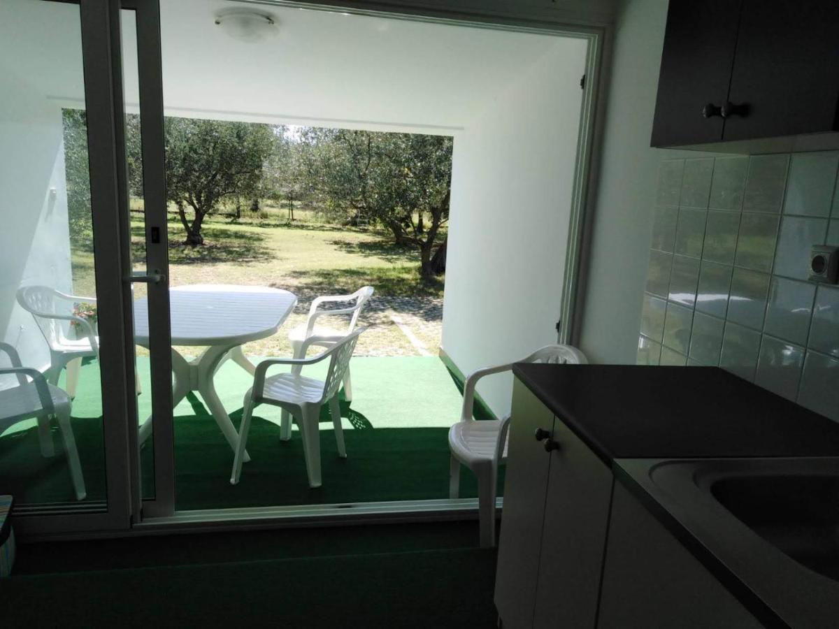 Apartments Free Parking Big Garden Apartment