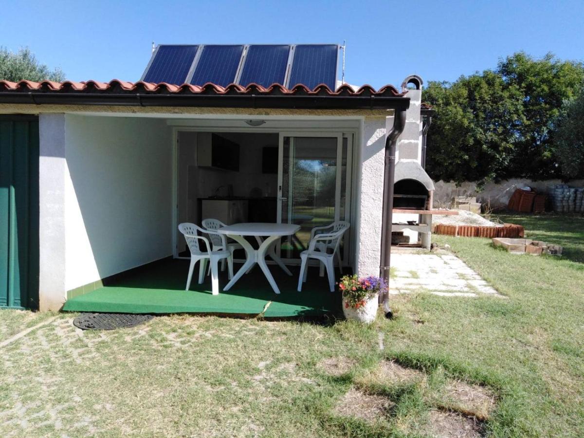 Apartments Free Parking Big Garden Apartment *