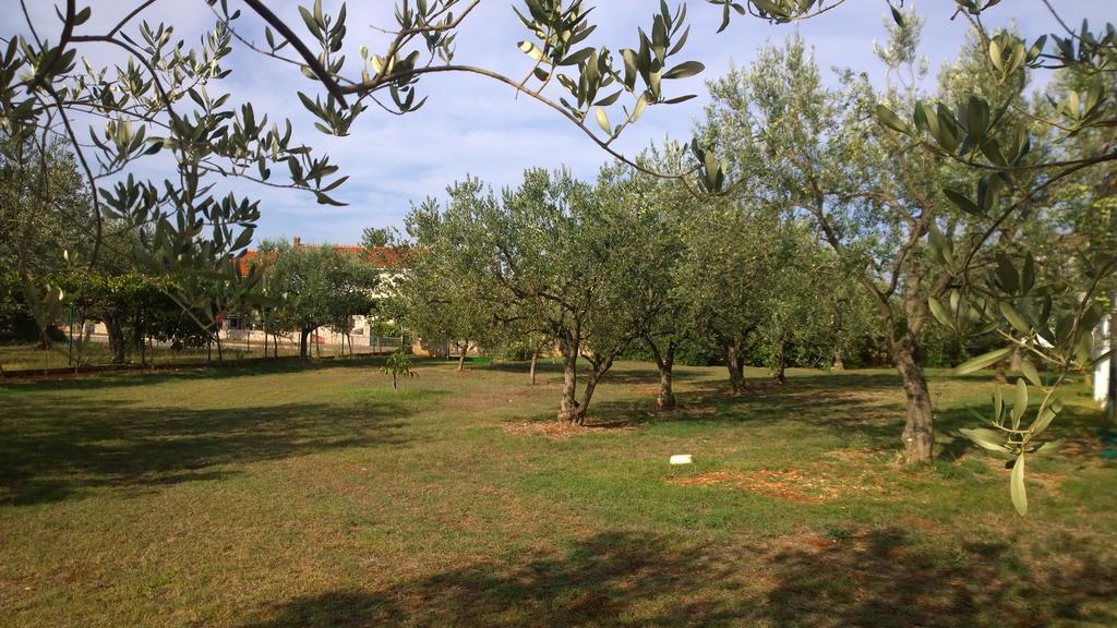 Apartments Free Parking Big Garden Apartment Peroj